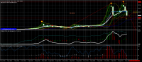 Bitcoin se esta comportando como indicador...