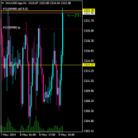 Chart XAUUSD.tpp, H1, 2024.05.09 12:34 UTC, TP Trades Holding Limited, MetaTrader 4, Real
