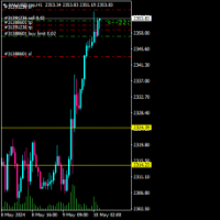 Chart XAUUSD.tpp, H1, 2024.05.10 04:38 UTC, TP Trades Holding Limited, MetaTrader 4, Real