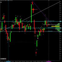 Chart S50M24, D1, 2024.05.13 02:51 UTC, Top Trader Co., Ltd., MetaTrader 5, Real