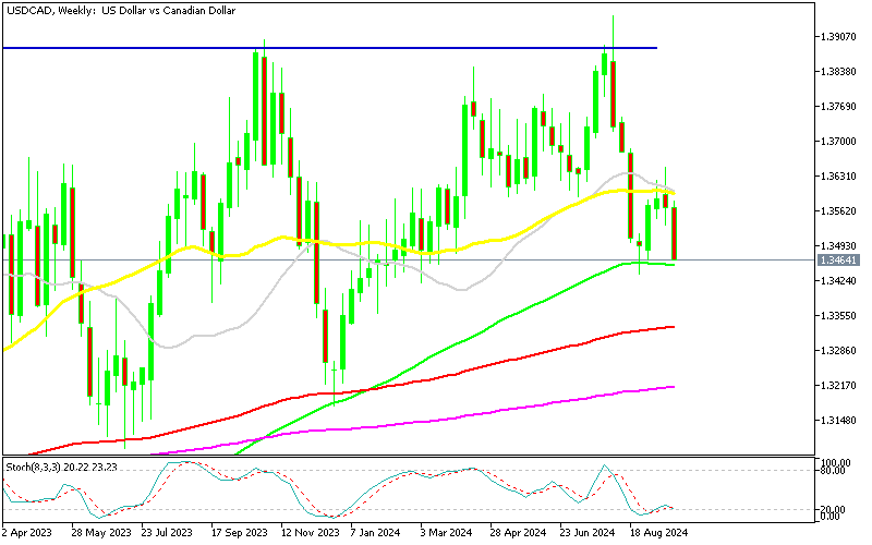 Chart USDCAD, W1, 2024.09.24 16:07 UTC, MetaQuotes Ltd., MetaTrader 5, Demo