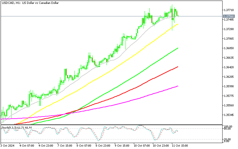 Chart USDCAD, H1, 2024.10.11 17:44 UTC, MetaQuotes Ltd., MetaTrader 5, Demo