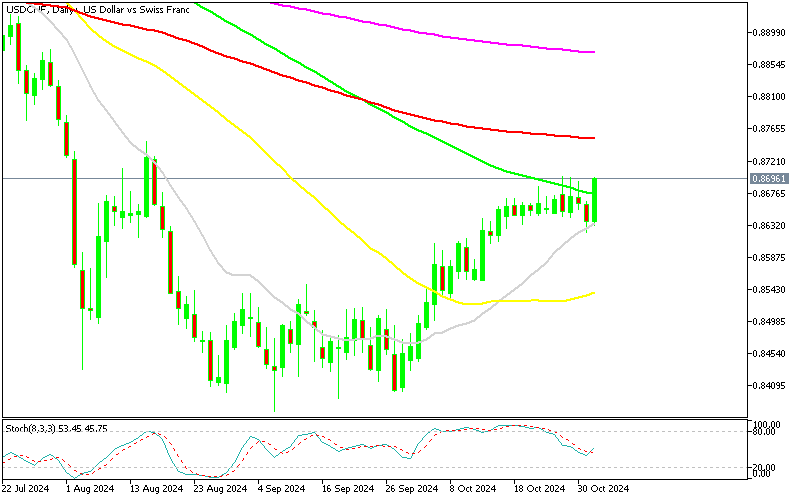 Chart USDCHF, D1, 2024.11.01 15:33 UTC, MetaQuotes Ltd., MetaTrader 5, Demo