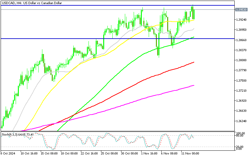 Chart USDCAD, H4, 2024.11.12 16:49 UTC, MetaQuotes Ltd., MetaTrader 5, Demo