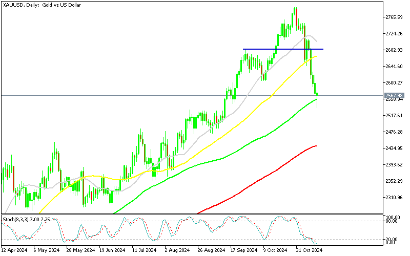 Chart XAUUSD, D1, 2024.11.14 21:12 UTC, MetaQuotes Ltd., MetaTrader 5, Demo