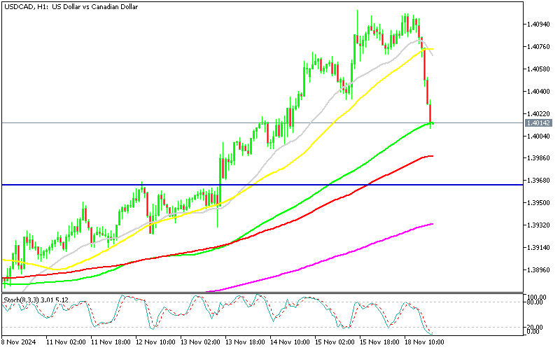 Chart USDCAD, H1, 2024.11.18 18:00 UTC, MetaQuotes Ltd., MetaTrader 5, Demo