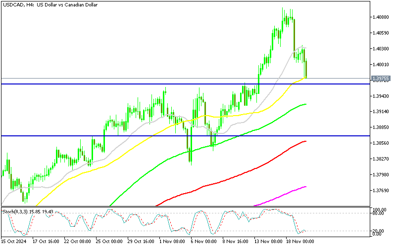 Chart USDCAD, H4, 2024.11.19 15:43 UTC, MetaQuotes Ltd., MetaTrader 5, Demo