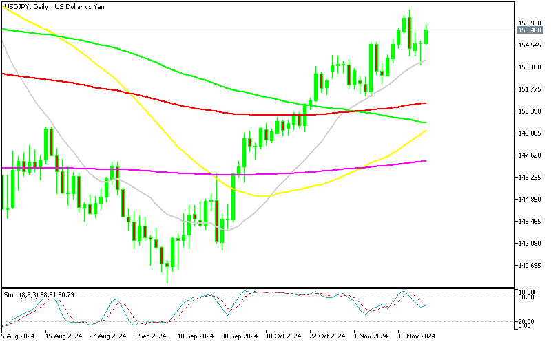 Chart USDJPY, D1, 2024.11.20 21:23 UTC, MetaQuotes Ltd., MetaTrader 5, Demo