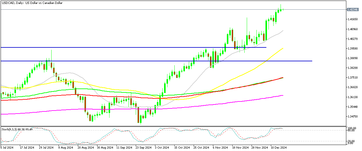 Chart USDCAD, D1, 2024.12.17 00:31 UTC, MetaQuotes Ltd., MetaTrader 5, Demo