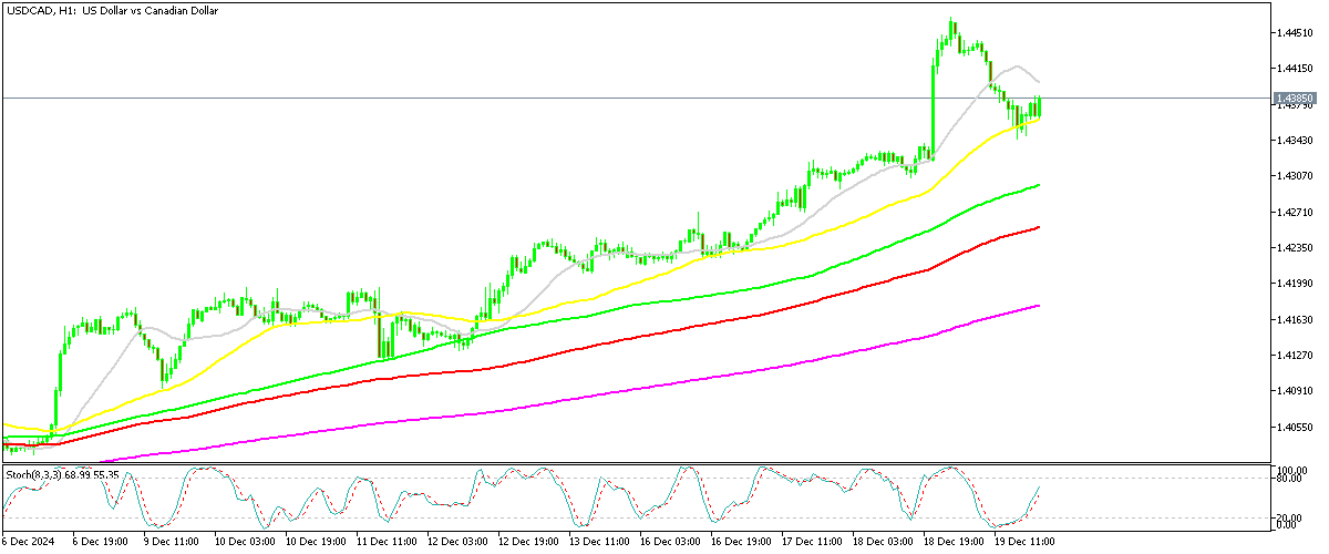 Chart USDCAD, H1, 2024.12.19 19:51 UTC, MetaQuotes Ltd., MetaTrader 5, Demo