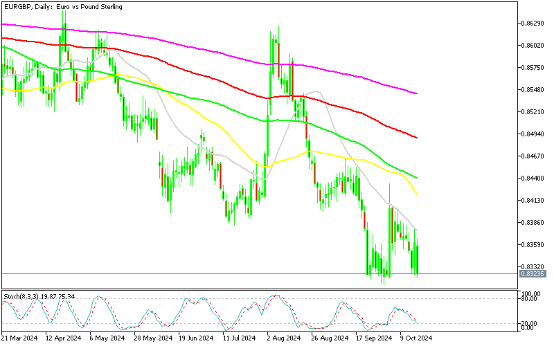 Chart EURGBP, D1, 2024.10.17 14:56 UTC, MetaQuotes Ltd., MetaTrader 5, Demo