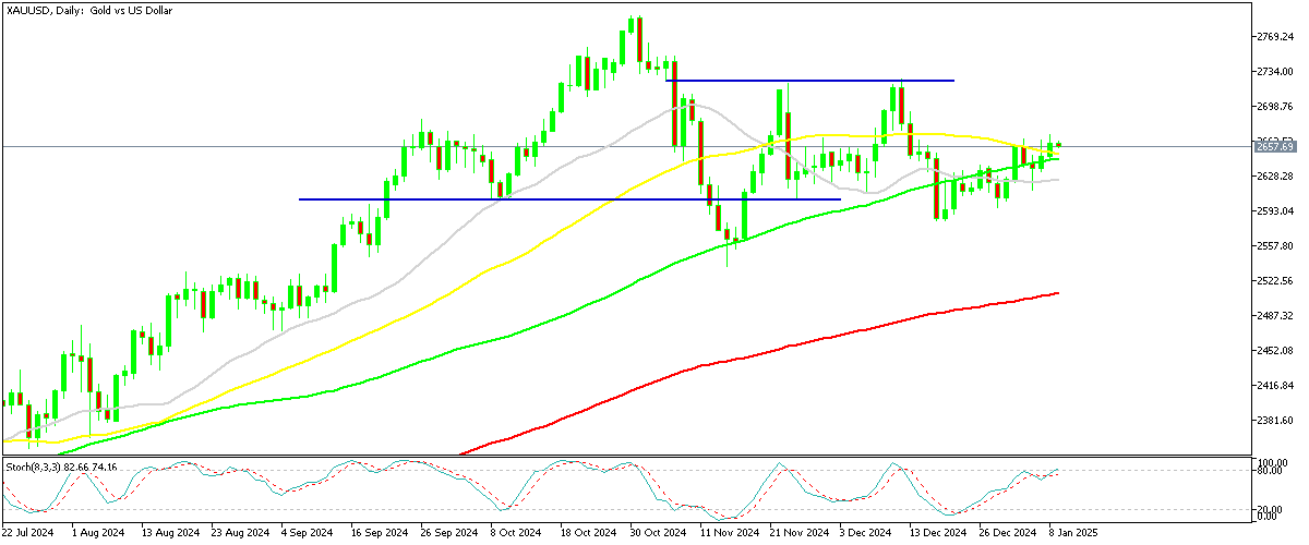 Chart XAUUSD, D1, 2025.01.09 02:30 UTC, MetaQuotes Ltd., MetaTrader 5, Demo