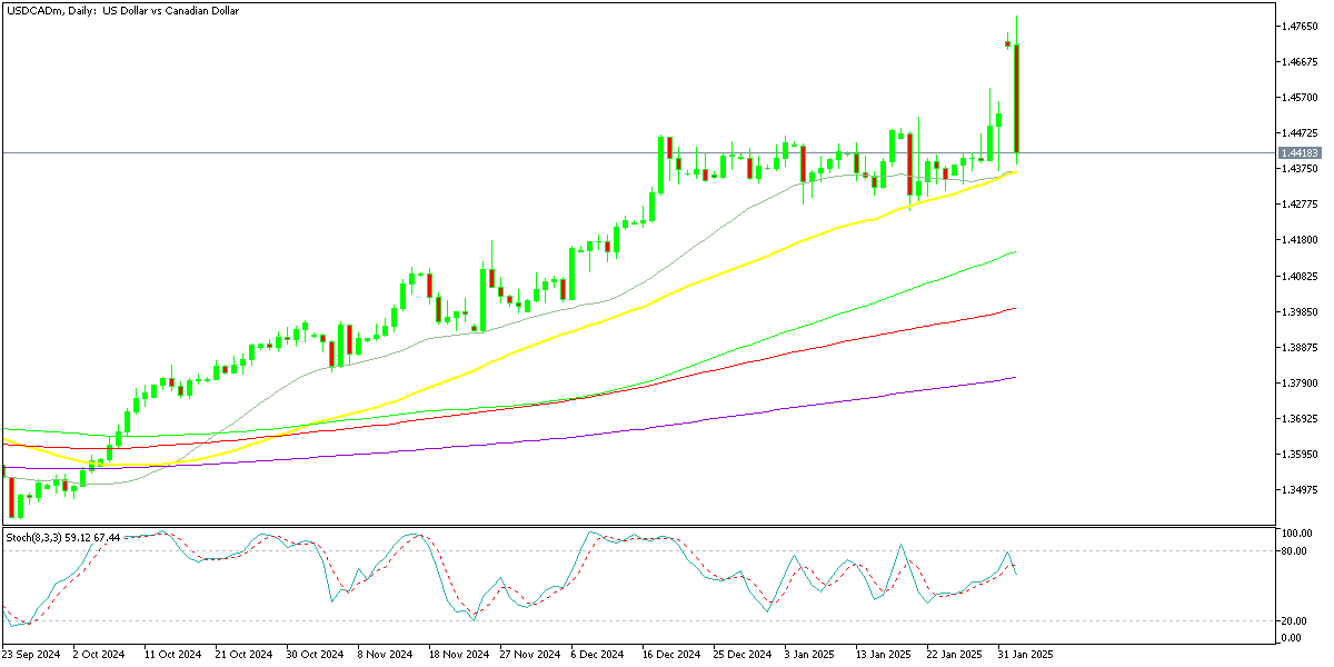 Chart USDCADm, D1, 2025.02.03 21:58 UTC, Exness Technologies Ltd, MetaTrader 5, Real