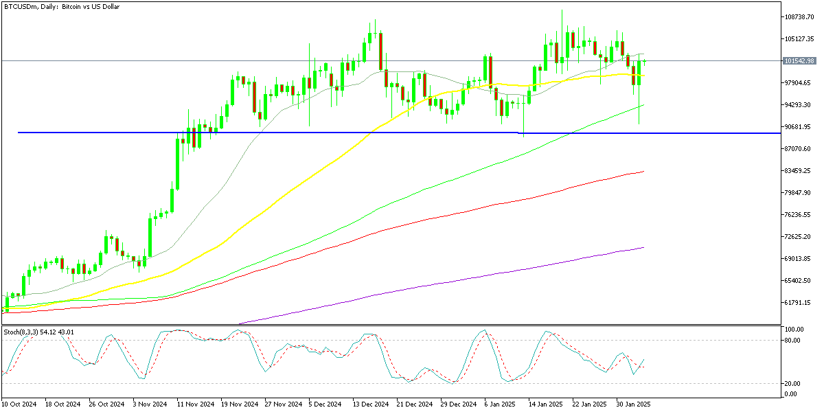 Chart BTCUSDm, D1, 2025.02.04 01:44 UTC, Exness Technologies Ltd, MetaTrader 5, Real