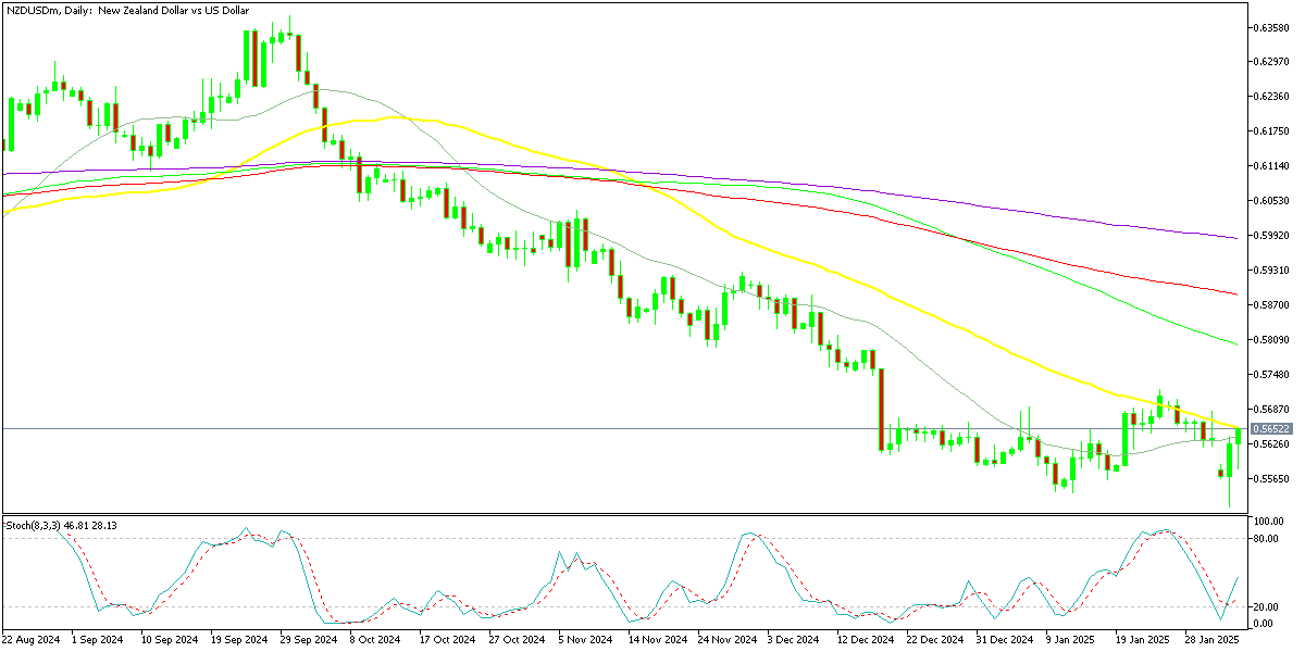 Chart NZDUSDm, D1, 2025.02.04 21:55 UTC, Exness Technologies Ltd, MetaTrader 5, Real