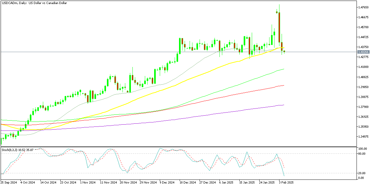Chart USDCADm, D1, 2025.02.05 01:45 UTC, Exness Technologies Ltd, MetaTrader 5, Real