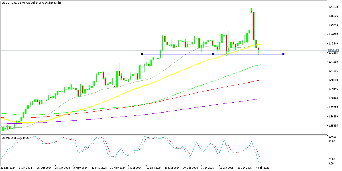 Chart USDCADm, D1, 2025.02.06 00:06 UTC, Exness Technologies Ltd, MetaTrader 5, Real
