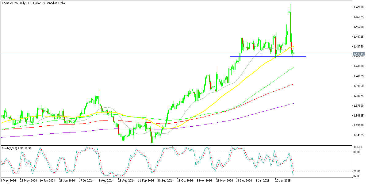 Chart USDCADm, D1, 2025.02.06 22:30 UTC, Exness Technologies Ltd, MetaTrader 5, Real