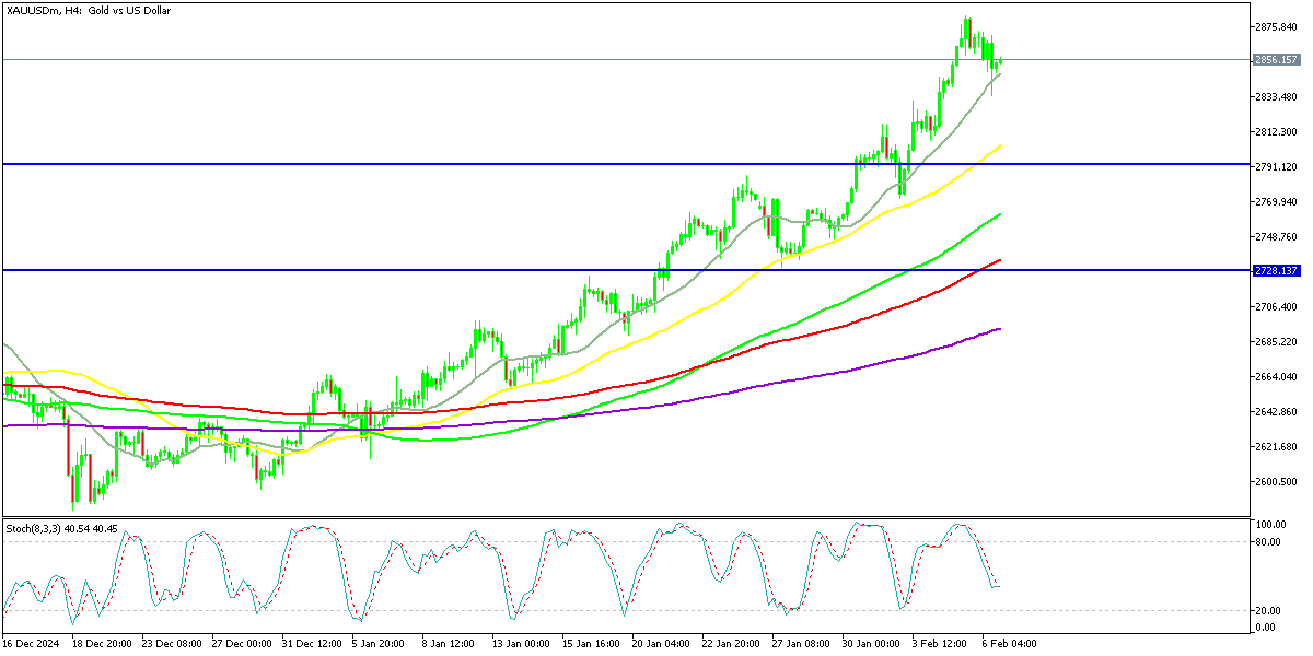 Chart XAUUSDm, H4, 2025.02.06 22:31 UTC, Exness Technologies Ltd, MetaTrader 5, Real
