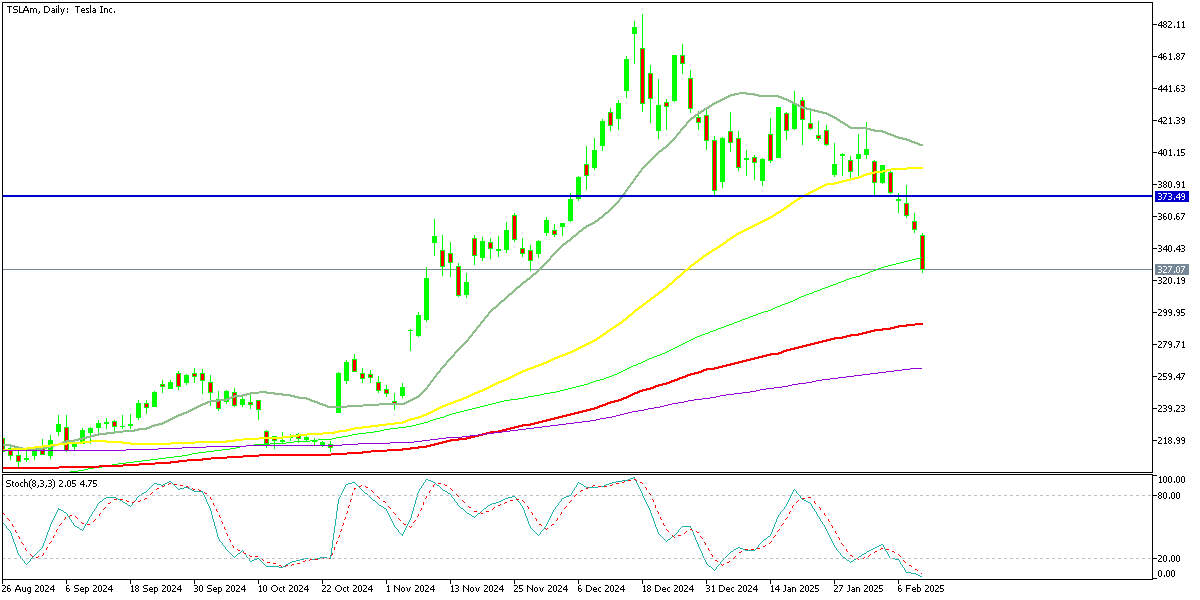 Chart TSLAm, D1, 2025.02.11 22:24 UTC, Exness Technologies Ltd, MetaTrader 5, Real