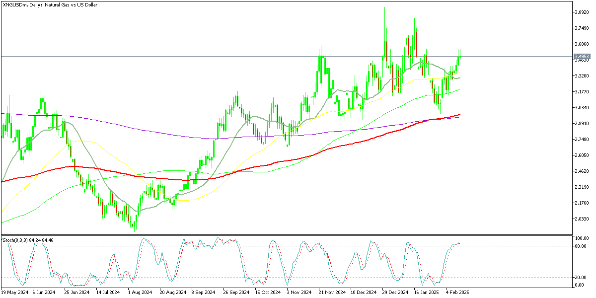 Chart XNGUSDm, D1, 2025.02.12 16:18 UTC, Exness Technologies Ltd, MetaTrader 5, Real