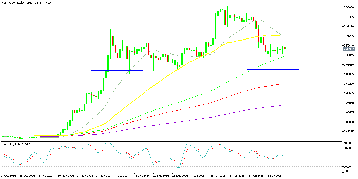 Chart XRPUSDm, D1, 2025.02.13 17:04 UTC, Exness Technologies Ltd, MetaTrader 5, Real