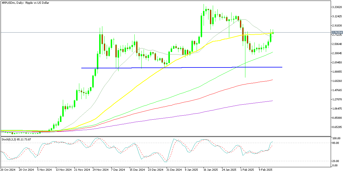 Chart XRPUSDm, D1, 2025.02.15 19:17 UTC, Exness Technologies Ltd, MetaTrader 5, Real